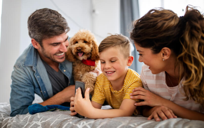 Does A Dog Flap Affect House Insurance